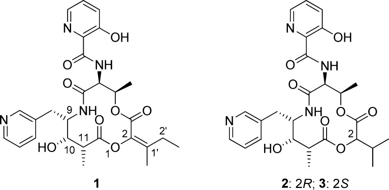 Chart 1