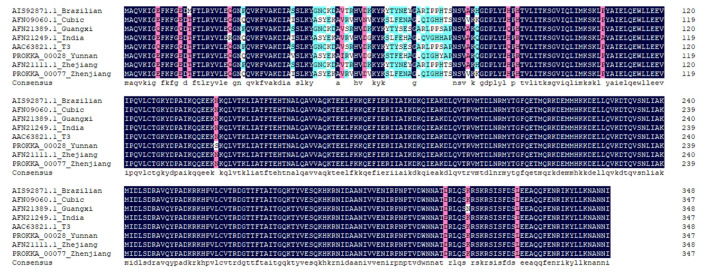 Figure 4