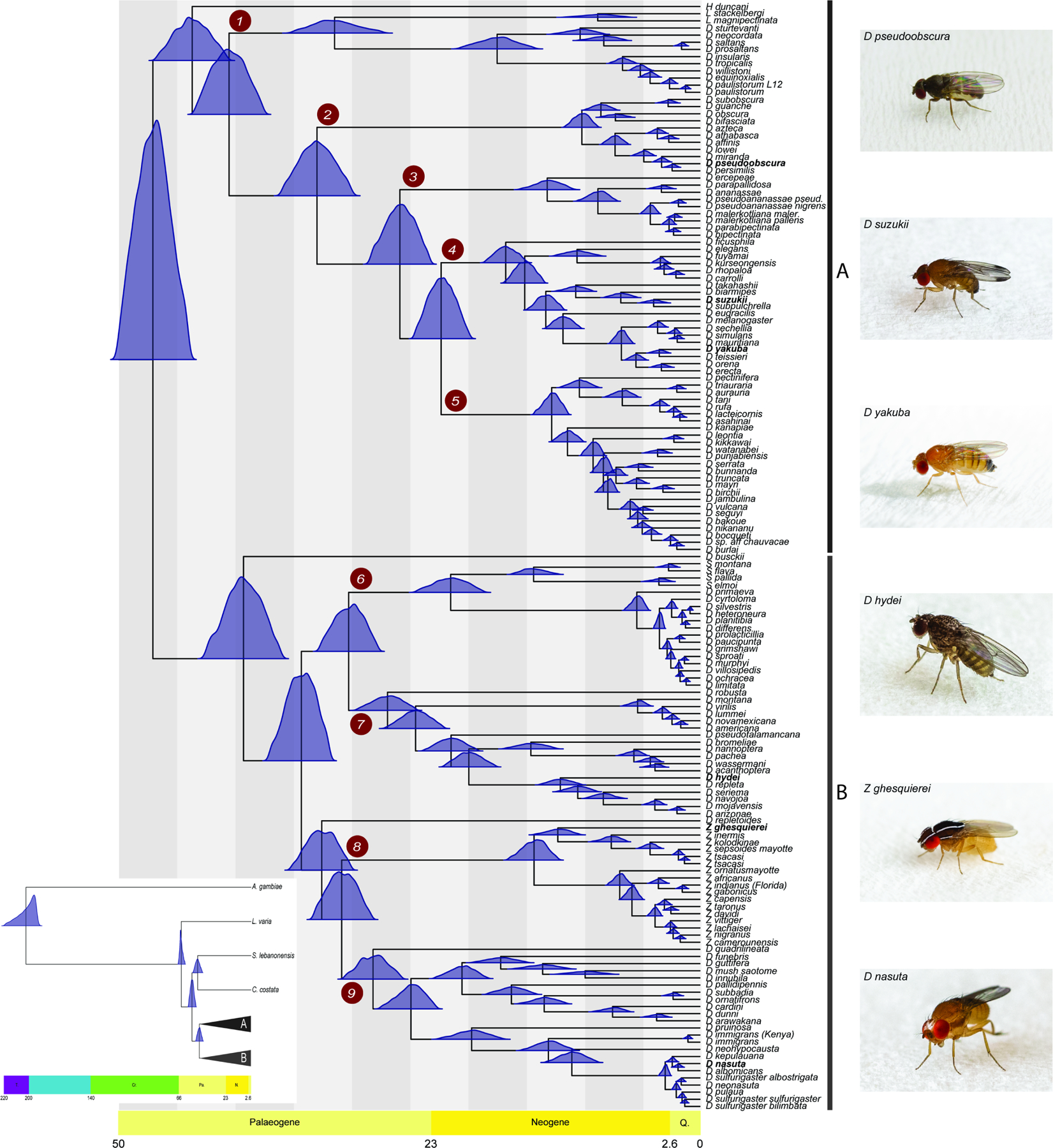 Figure 1.