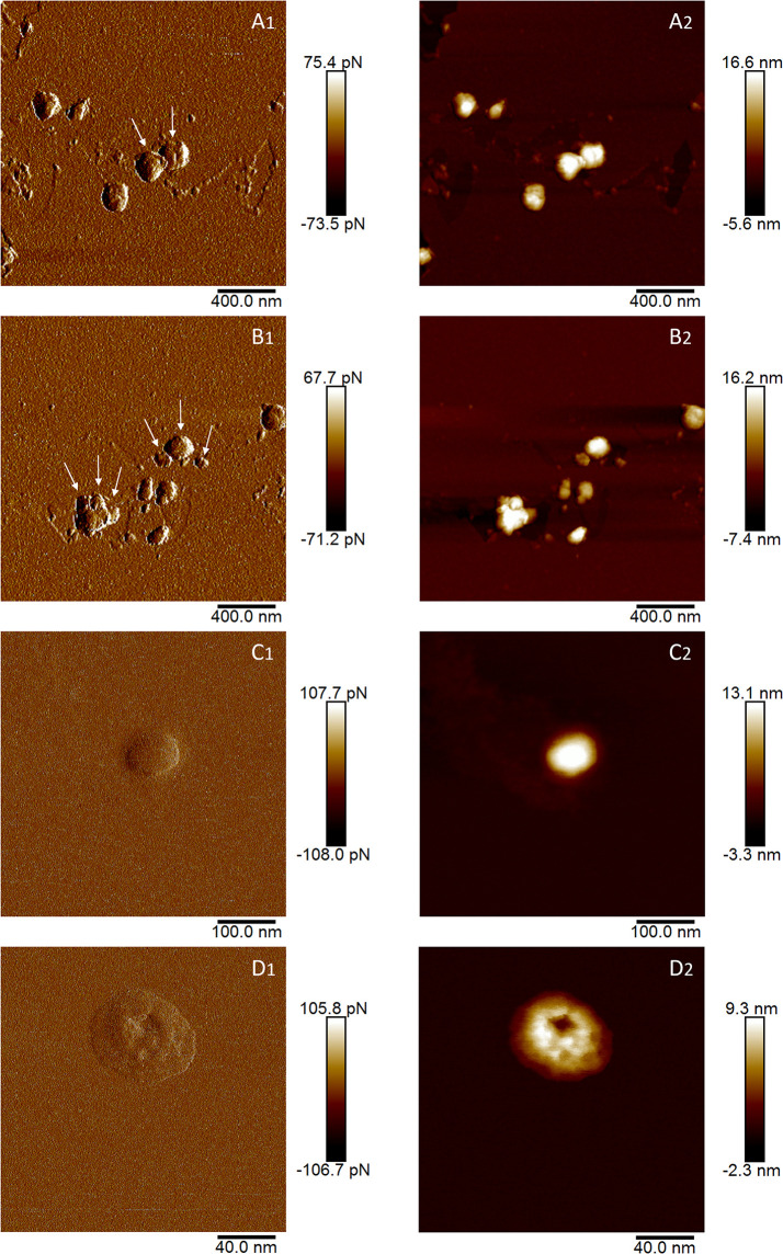 Figure 2