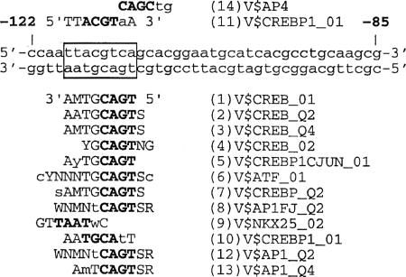 FIG. 7.