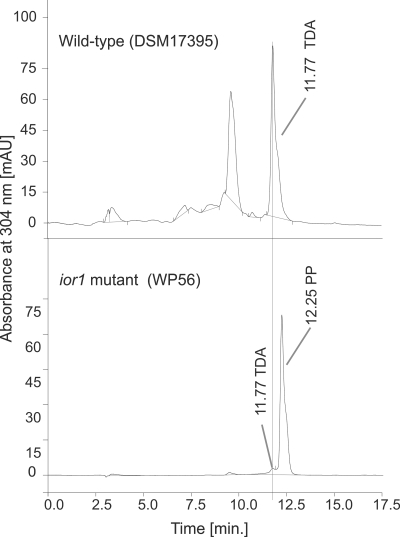 Fig 5