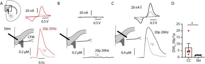 Fig. 4