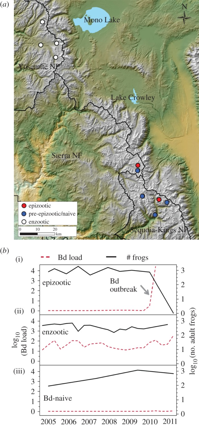 Figure 1.