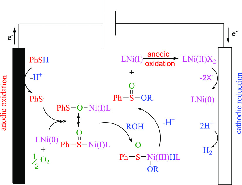 Scheme 7