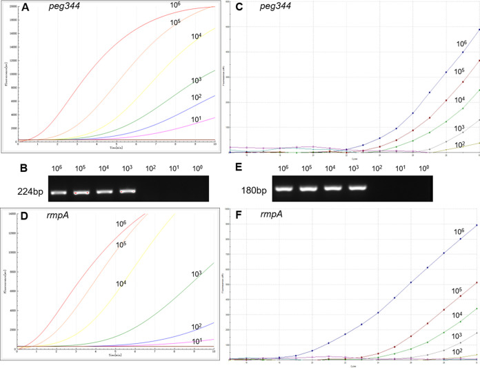 FIG 3