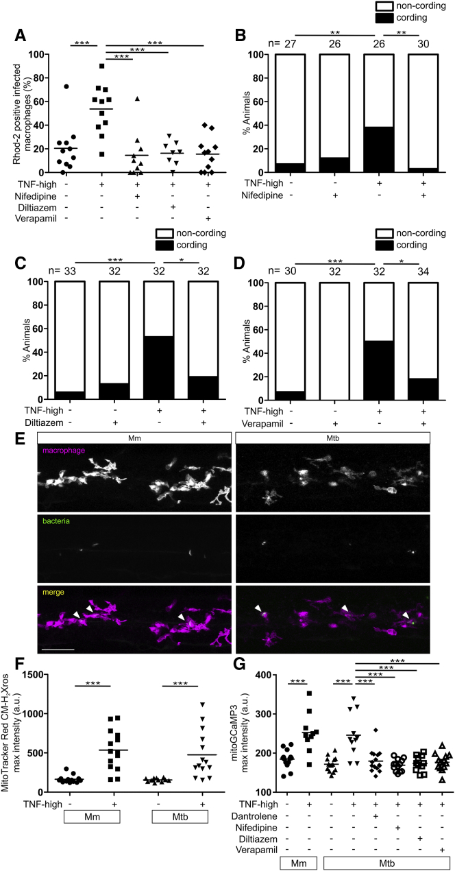 Figure 6