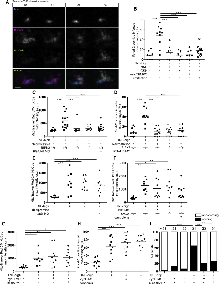 Figure 5