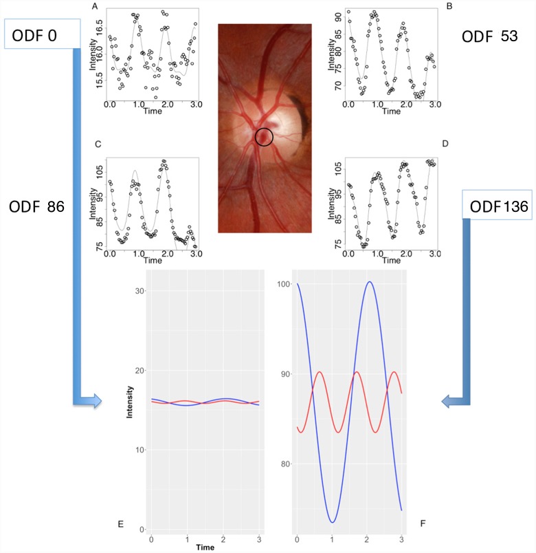 Fig 10