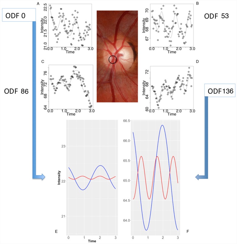 Fig 11