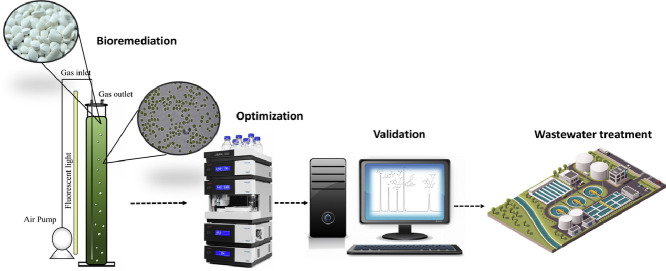 Image, graphical abstract