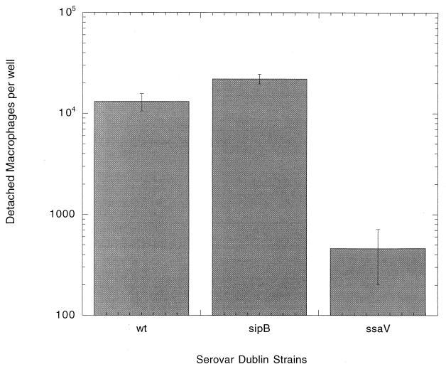 FIG. 1.