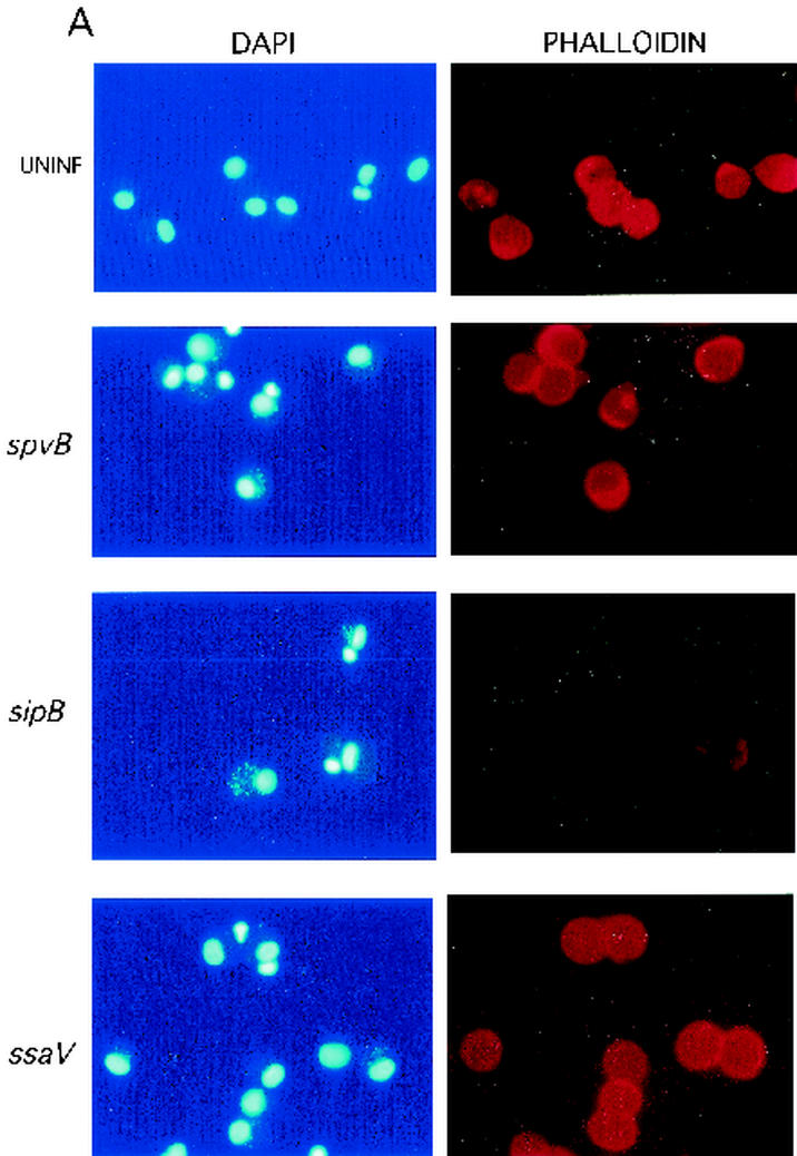 FIG. 6