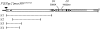 F<sc>igure</sc> 1.—