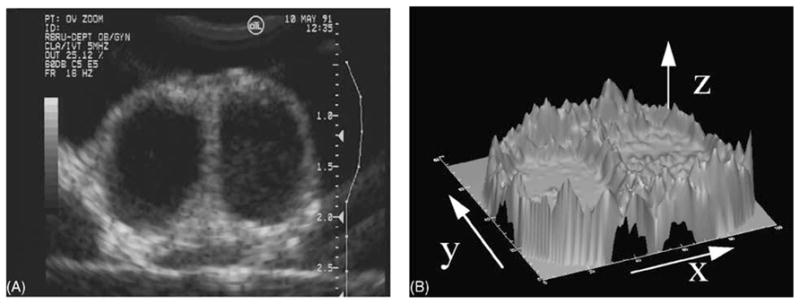 Fig. 3