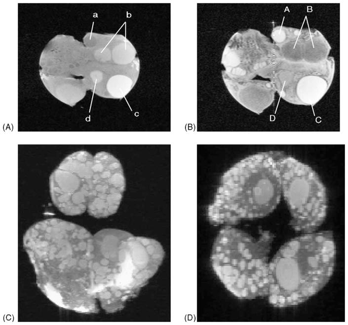 Fig. 12