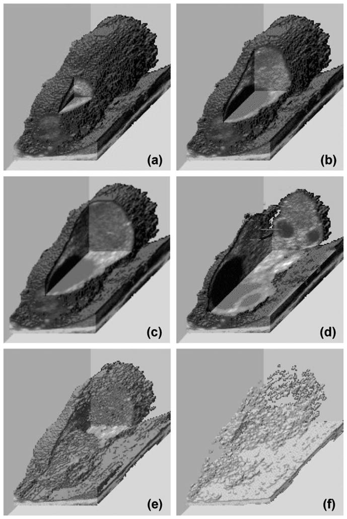 Fig. 9