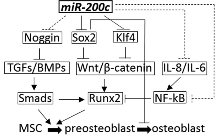 FIG. 7.