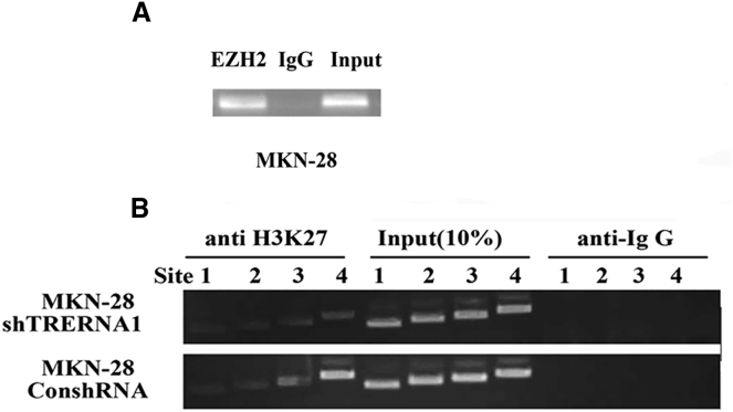 Figure 7