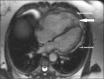 Fig 5.