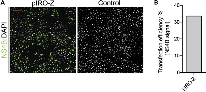 Figure 2