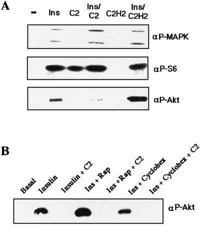 FIG. 9