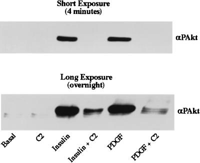 FIG. 8