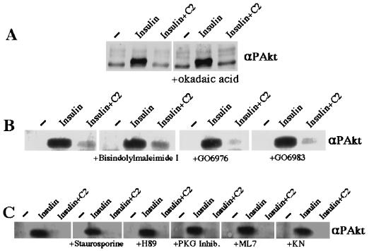 FIG. 10