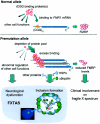 Figure  2