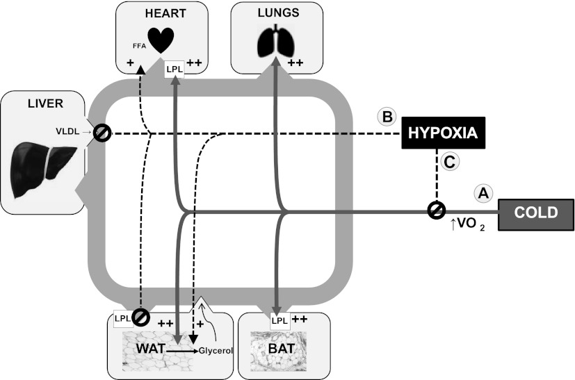 Fig. 9.