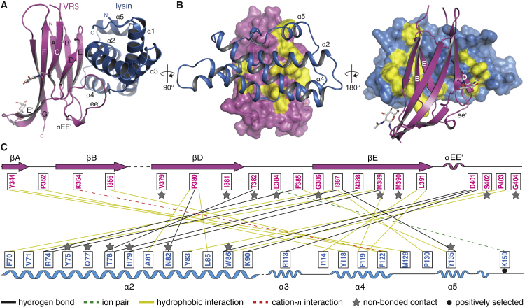 Figure 3