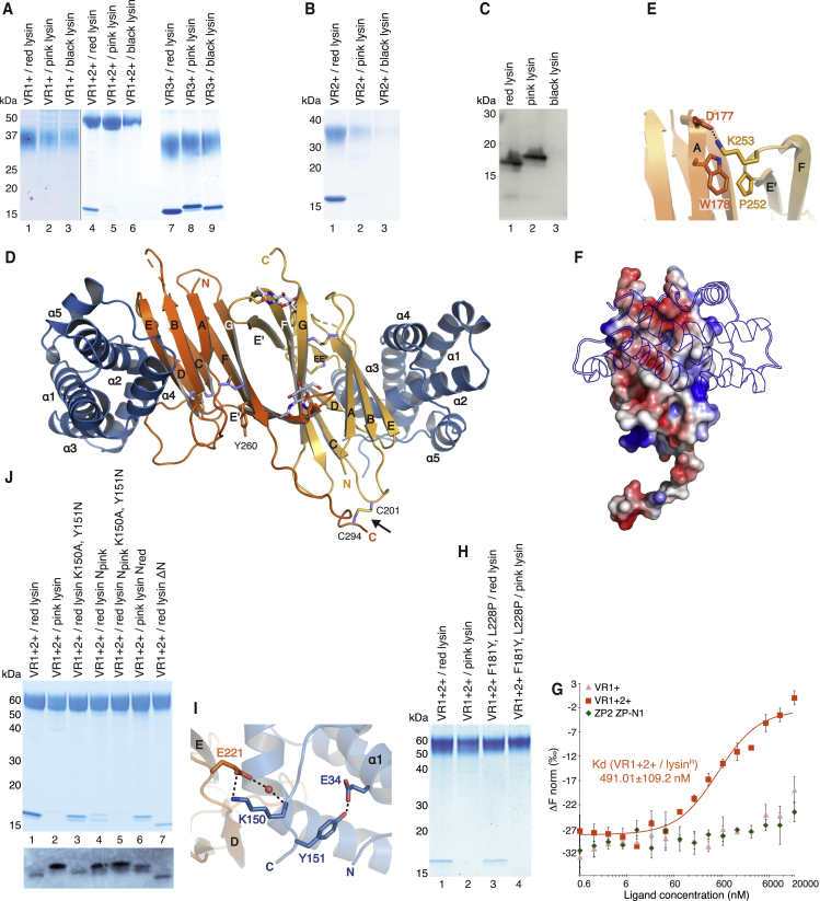 Figure 6