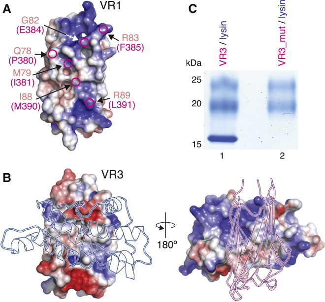 Figure 5