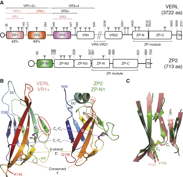 Figure 1