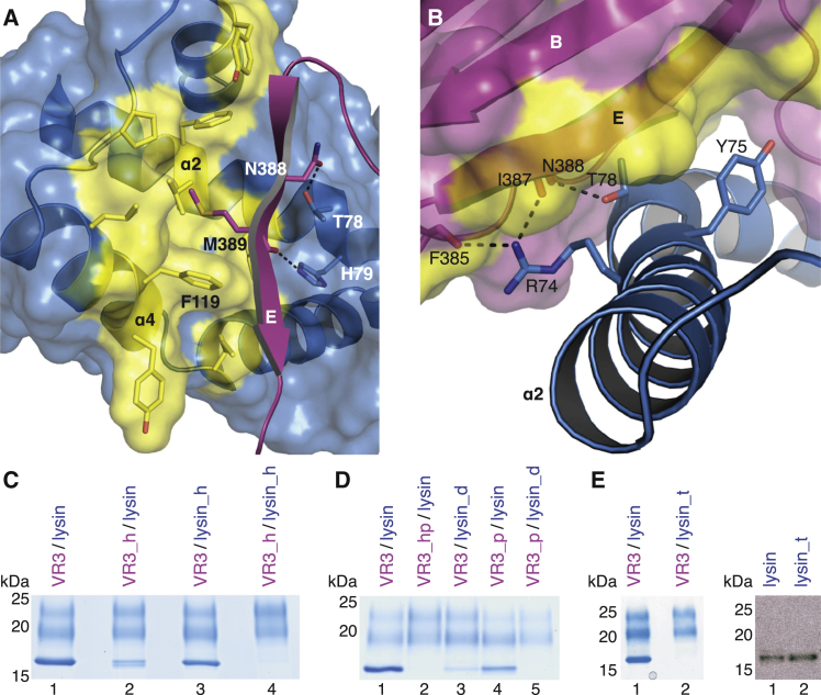 Figure 4