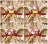 FIG. 2.