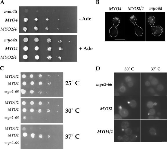 Figure 6.