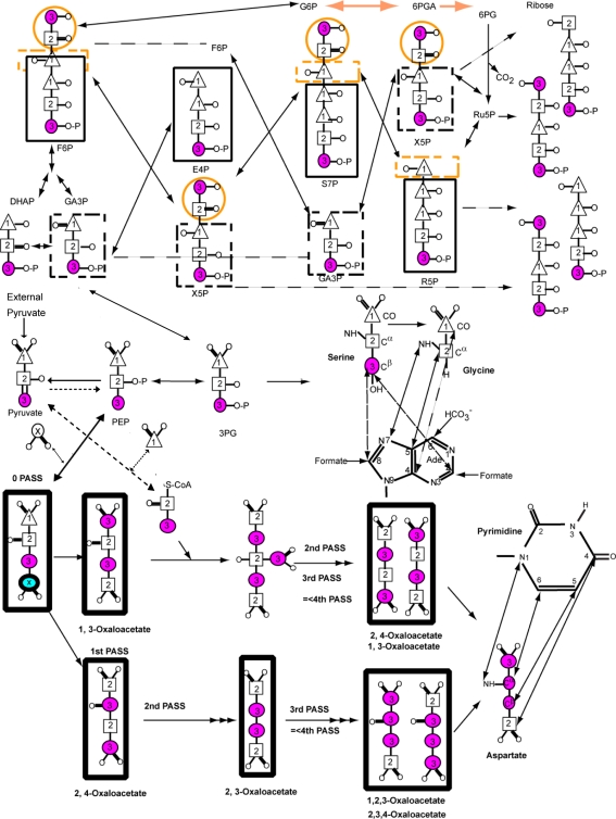 Fig. 1