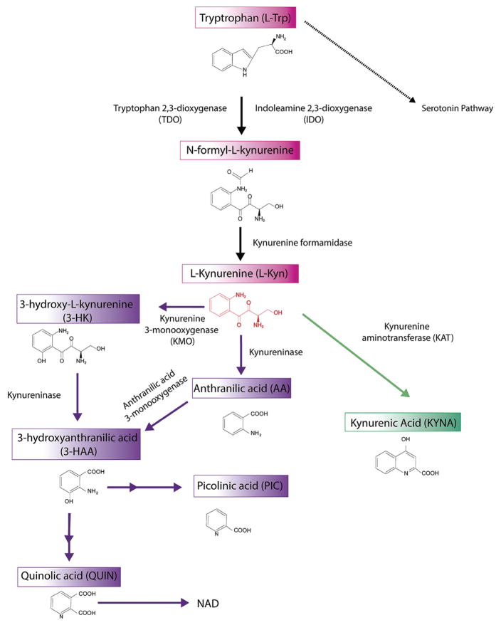 Fig. 2