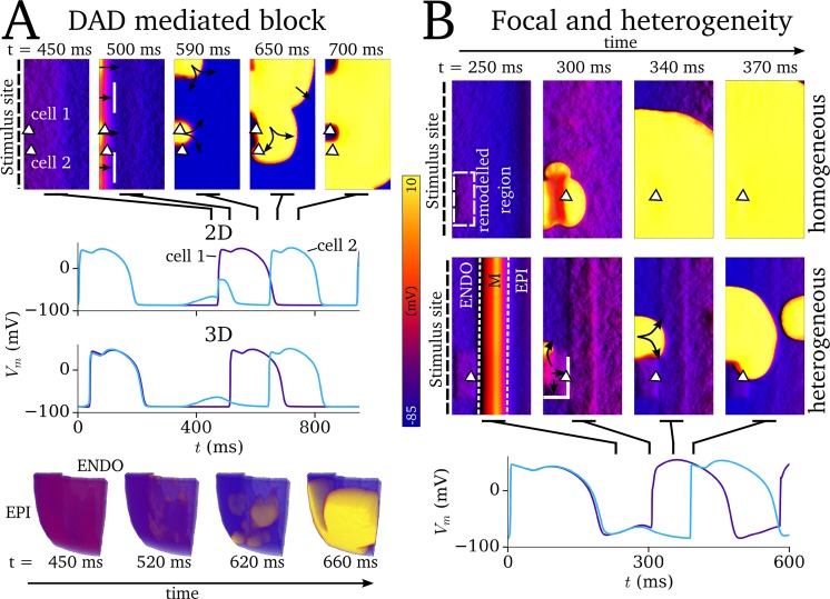 Fig 10