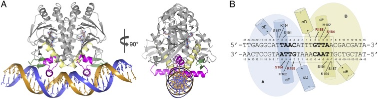 Fig. 3.