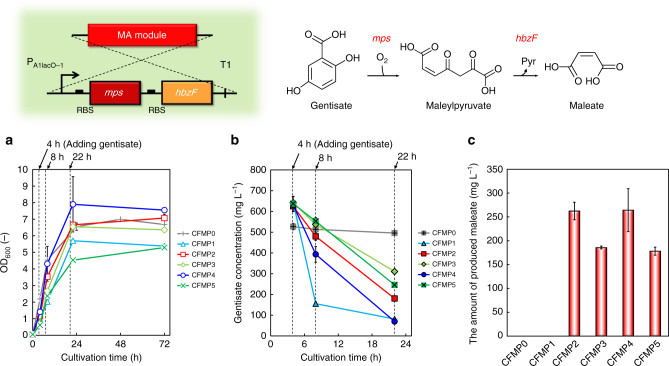 Fig. 3