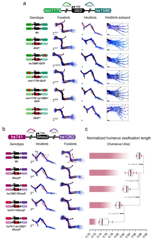 Extended Data Figure 8