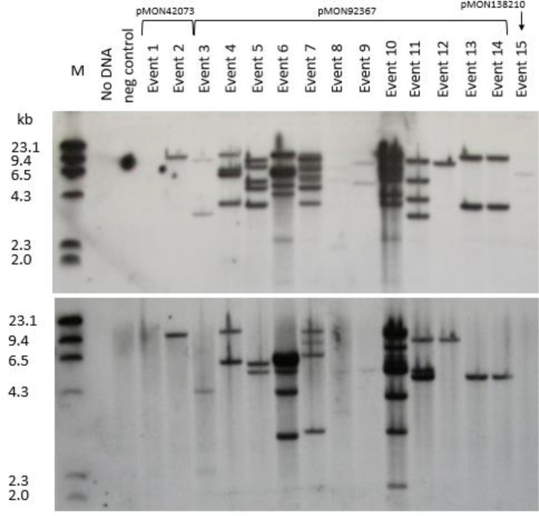 Figure 5