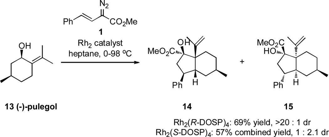 Scheme 5