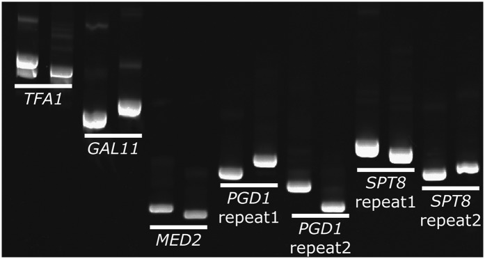 Figure 7 