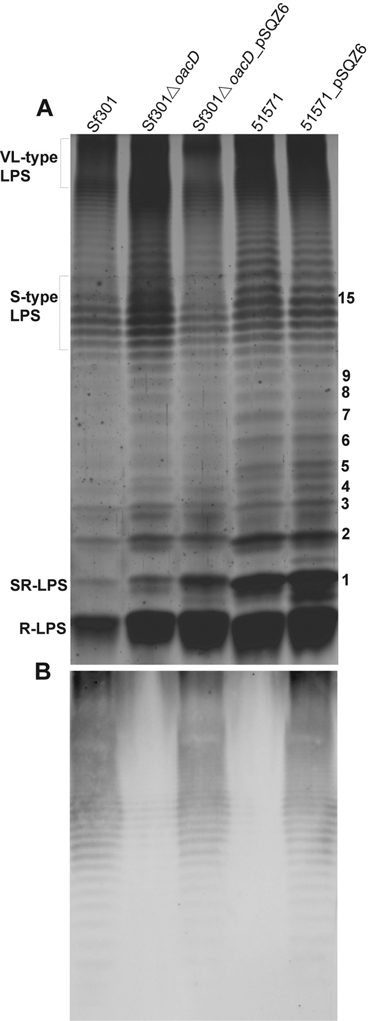 FIG 3