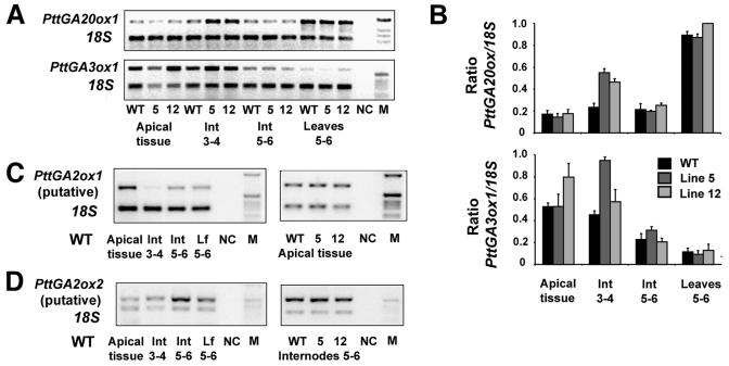 Figure 5.