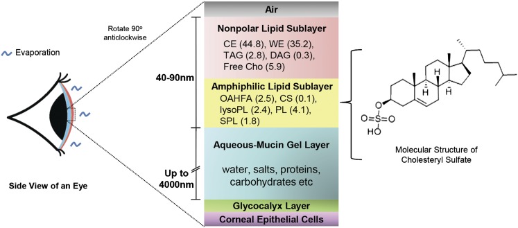 Fig. 5.