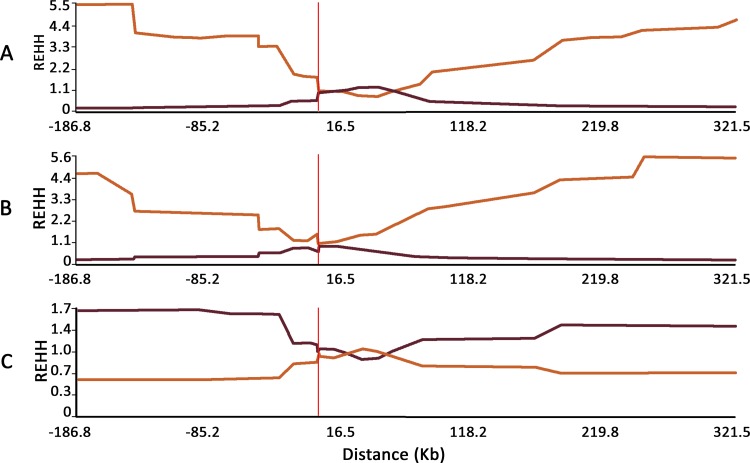 Fig 2